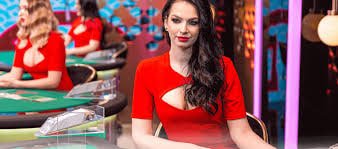 PP321 VIP Bonus Cashback လောင်းကစား မြန်မာ ကစားသမားများ